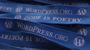 wordpress_developer_techpenta_blog_image